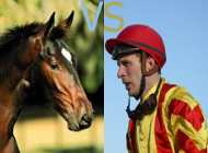On parie sur le cheval ou le jockey