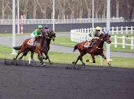 104% au trot monté