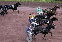 Faut-il jouer les chevaux reculés